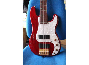 Squier Pro Tone Precision Bass V (41921)