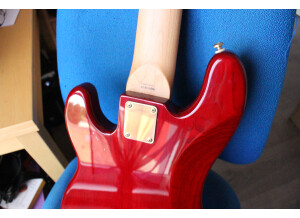 Squier Pro Tone Precision Bass V (5809)