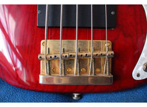 Squier Pro Tone Precision Bass V (496)