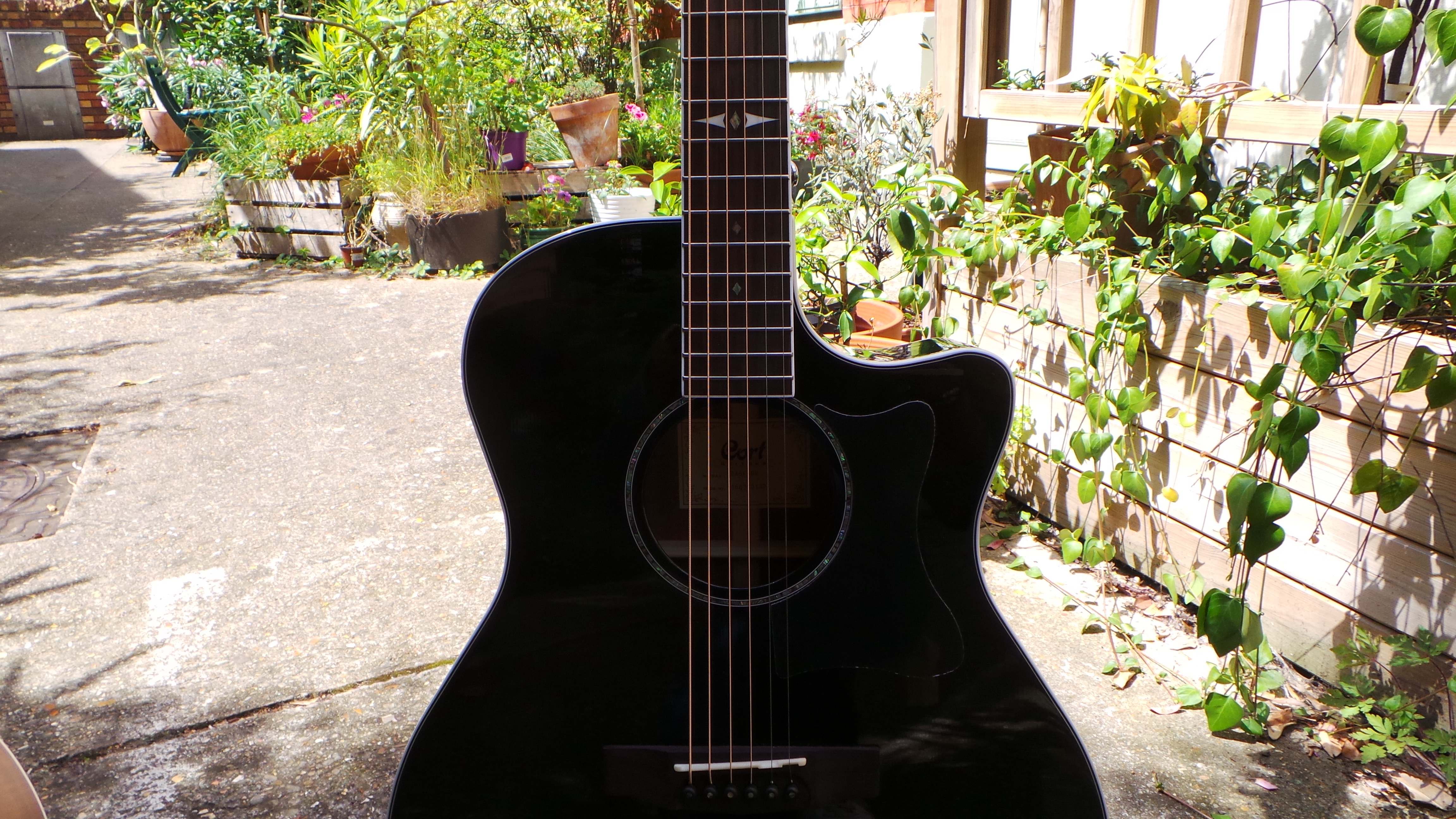 Cort GA5F : Photos GA5F 3