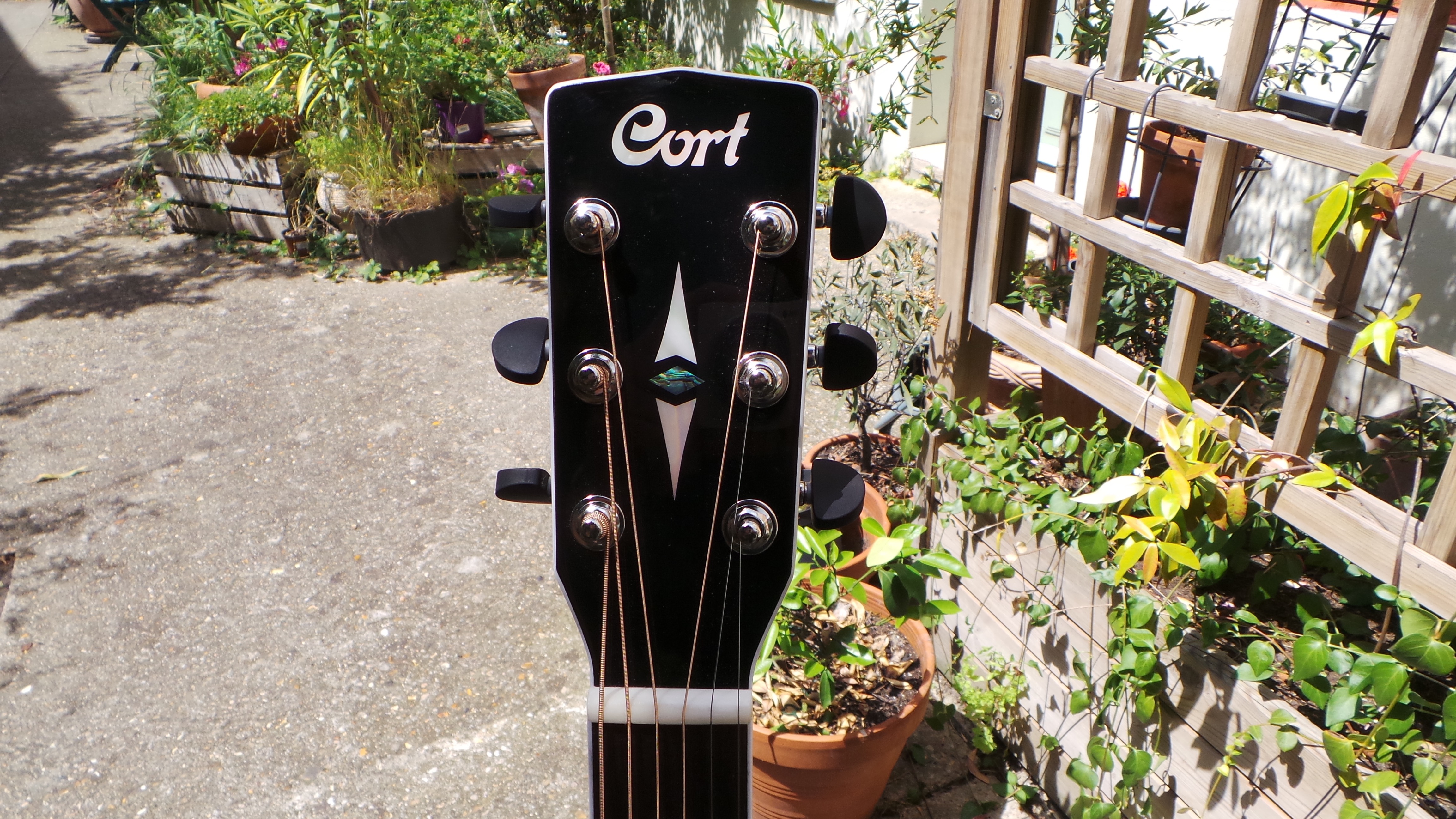 Cort GA5F : Photos GA5F 5