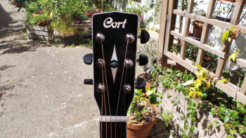 Cort GA5F : Photos GA5F 5 Cort GA5F : Photos GA5F 5