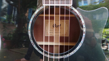 Cort GA5F : Photos GA5F 9 Cort GA5F : Photos GA5F 9