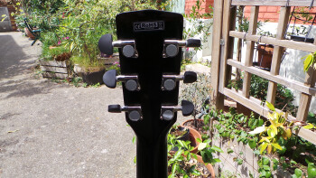 Cort GA5F : Photos GA5F 12 Cort GA5F : Photos GA5F 12