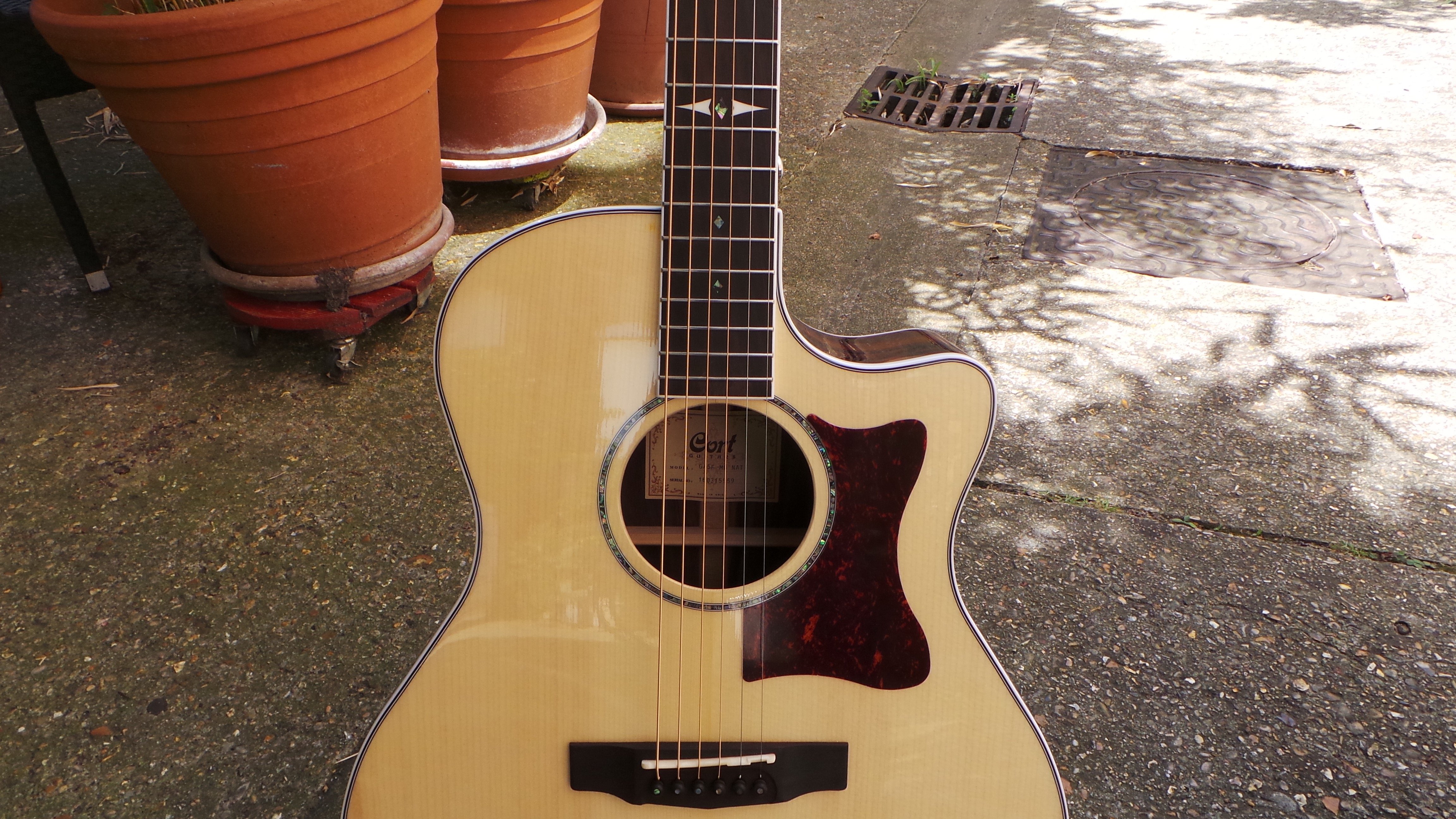 Cort GA5F-MD : Photos GA5F MD 1