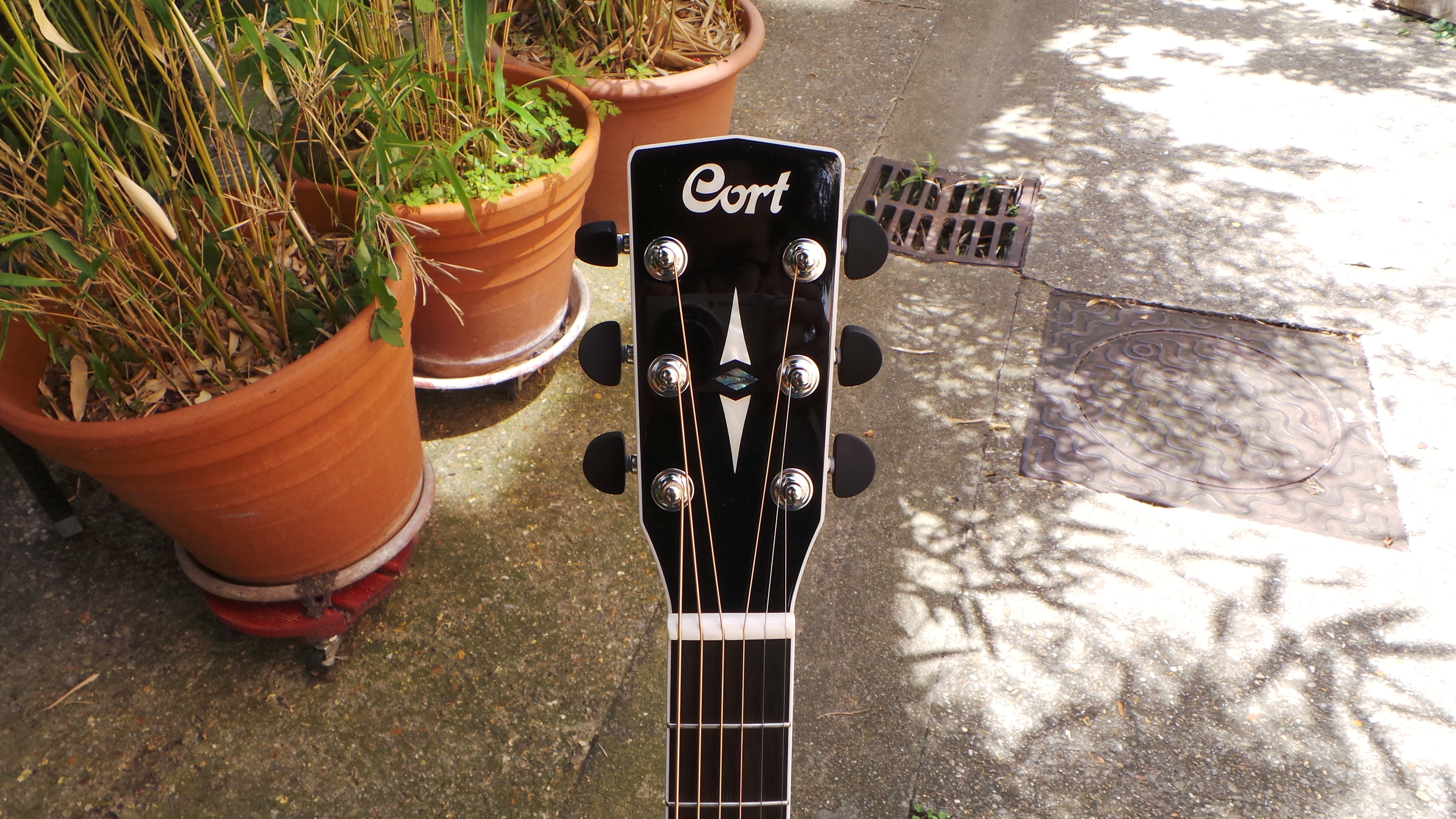 Cort GA5F-MD : Photos GA5F MD 3