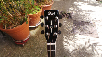 Cort GA5F-MD : Photos GA5F MD 3 Cort GA5F-MD : Photos GA5F MD 3