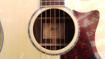 Cort GA5F-MD : Photos GA5F MD 7 Cort GA5F-MD : Photos GA5F MD 7