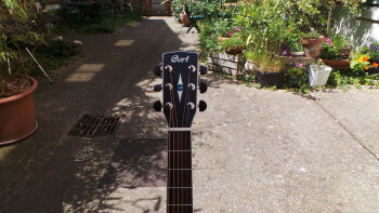 Cort GA5F-BW : Photos GA5F BW 3 Cort GA5F-BW : Photos GA5F BW 3