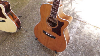 Cort GA5F-BW : Photos GA5F BW 4 Cort GA5F-BW : Photos GA5F BW 4