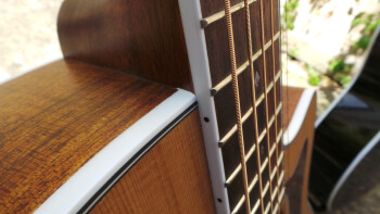 Cort GA5F-BW : Photos GA5F BW 5 Cort GA5F-BW : Photos GA5F BW 5