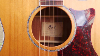 Cort GA5F-BW : Photos GA5F BW 6 Cort GA5F-BW : Photos GA5F BW 6