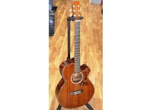 Tanglewood TW47 E 01