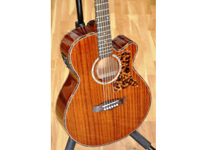 Tanglewood TW47 E 02
