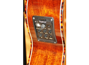 Tanglewood TW47 E 04