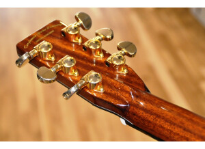 Tanglewood TW47 E 08