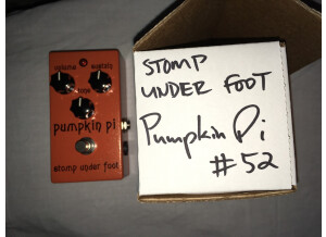 Stomp Under Foot Pumpkin Pi
