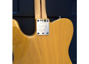 Fender American Deluxe Telecaster Ash [2010-2015] (2936)