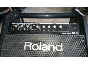 Roland PM-30 (73077)