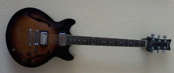 Ibanez AM50 