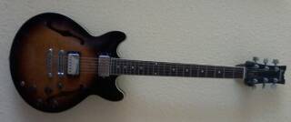 Ibanez AM50