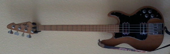 Peavey T-40