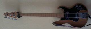 Peavey T-40