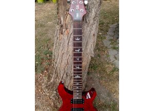 PRS SE Custom 24 - Scarlet Red (43729)
