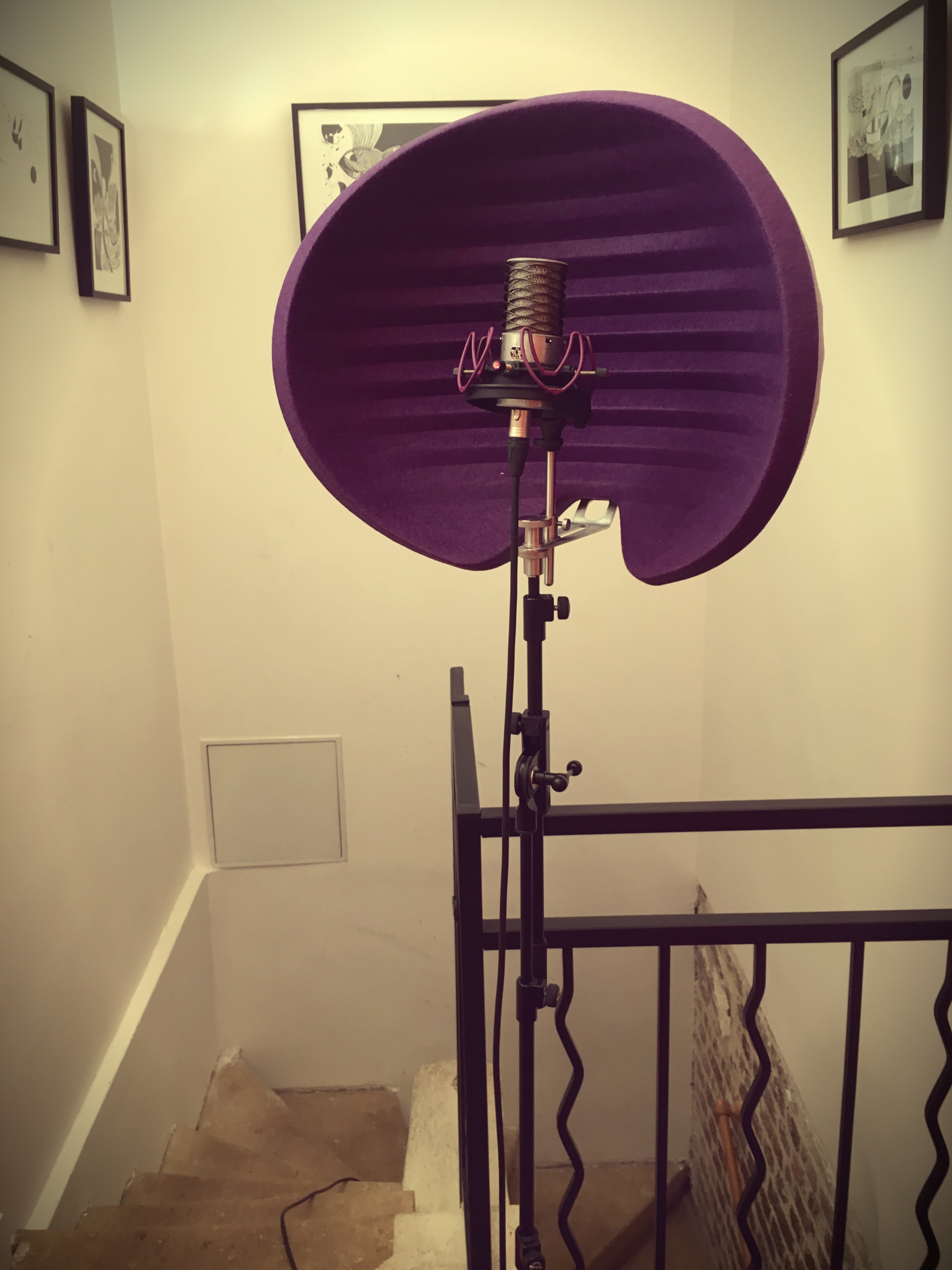 Aston Microphones Halo : Halo 2