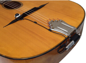 J48C ischell gypsy guitar tailpiece