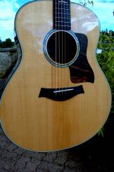 Taylor 618e