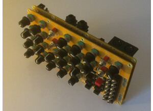 Mutable Instruments Anushri (72566)
