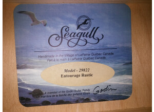 Seagull S6 Entourage