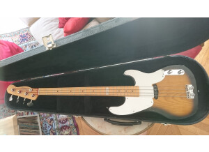 Fender Sting Precision Bass (81534)