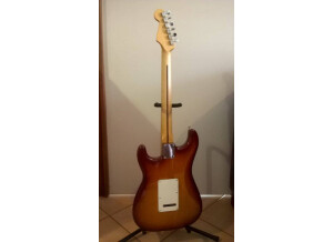 Fender Standard Stratocaster Plus Top (41070)