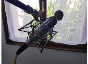 Blue Microphones Bluebird (20690)