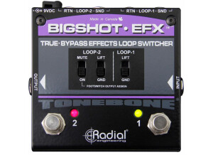 Radial Engineering BigShot EFX V2