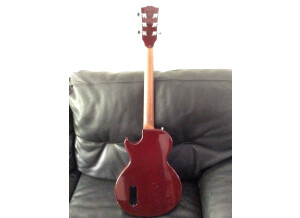 Gibson Les Paul Junior (63537)