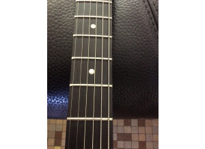 Gibson Les Paul Junior (16175)