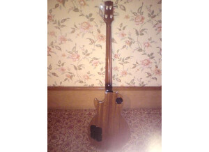 Gibson Les Paul Standard Bass (95107)
