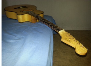 Fender Casa Grande (11820)