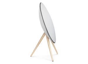 Bang & Olufsen BeoPlay A9 (79488)