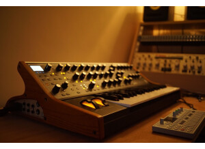 Moogsub37.1