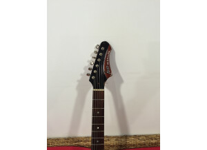 Fano Guitars PX6 (95780)