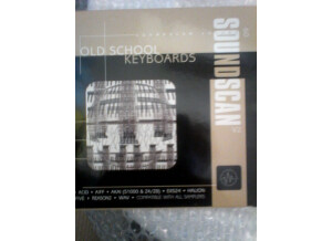 Soundscan 09-Old School Keyboards