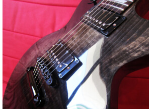 Gibson LPM 2015 (82917)