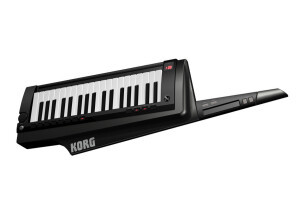 Korg RK-100S (10227)