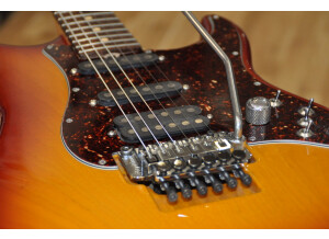 Tom Anderson Classic 08