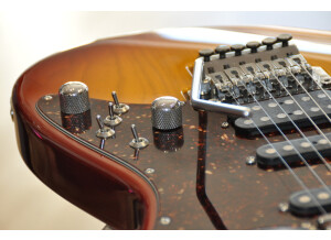 Tom Anderson Classic 09