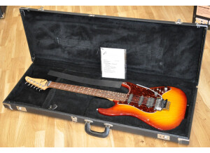 Tom Anderson Classic 17